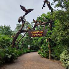 Bird Park